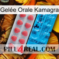 Gelée Orale Kamagra new14